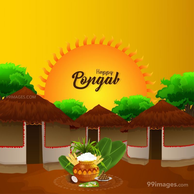 ✓[95+] [14th January 2023] Happy Pongal (Pongal Vazhthukkal) WhatsApp DP  Images, Wishes, Quotes, Messages HD (png / jpg) (2023)