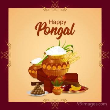 [14th January 2023] Happy Pongal (Pongal Vazhthukkal) WhatsApp DP Images, Wishes, Quotes, Messages HD