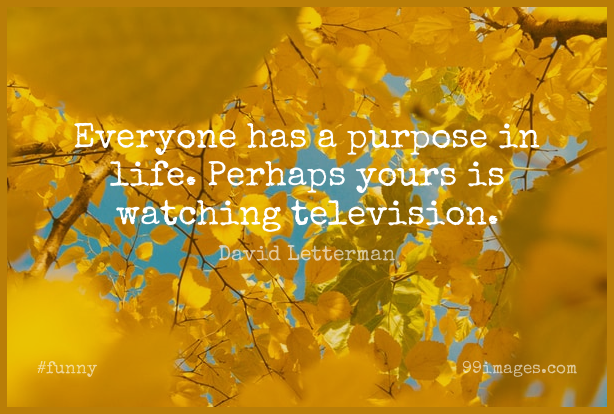 ✓[100+] Short Funny Quote by David Letterman about Sarcastic,Purpose,Television  for WhatsApp DP / Status, Instagram Story, Facebook Post. (png / jpg) (2023)
