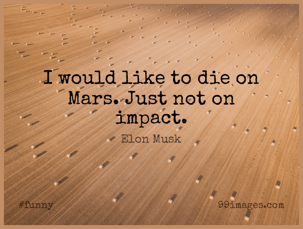 ✓[100+] Short Funny Quote by Elon Musk about Inspirational,Death,Dream for  WhatsApp DP / Status, Instagram Story, Facebook Post. (png / jpg) (2023)