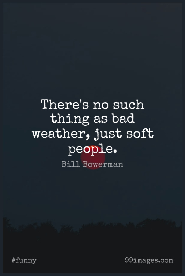 ✓[100+] Short Funny Quote by Bill Bowerman about Motivational,Nike,Running  for WhatsApp DP / Status, Instagram Story, Facebook Post. (png / jpg) (2023)