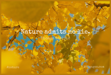 Short Nature Quote by Rachel Carson about Past,Environmental,Earth for WhatsApp DP / Status, Instagram Story, Facebook Post.