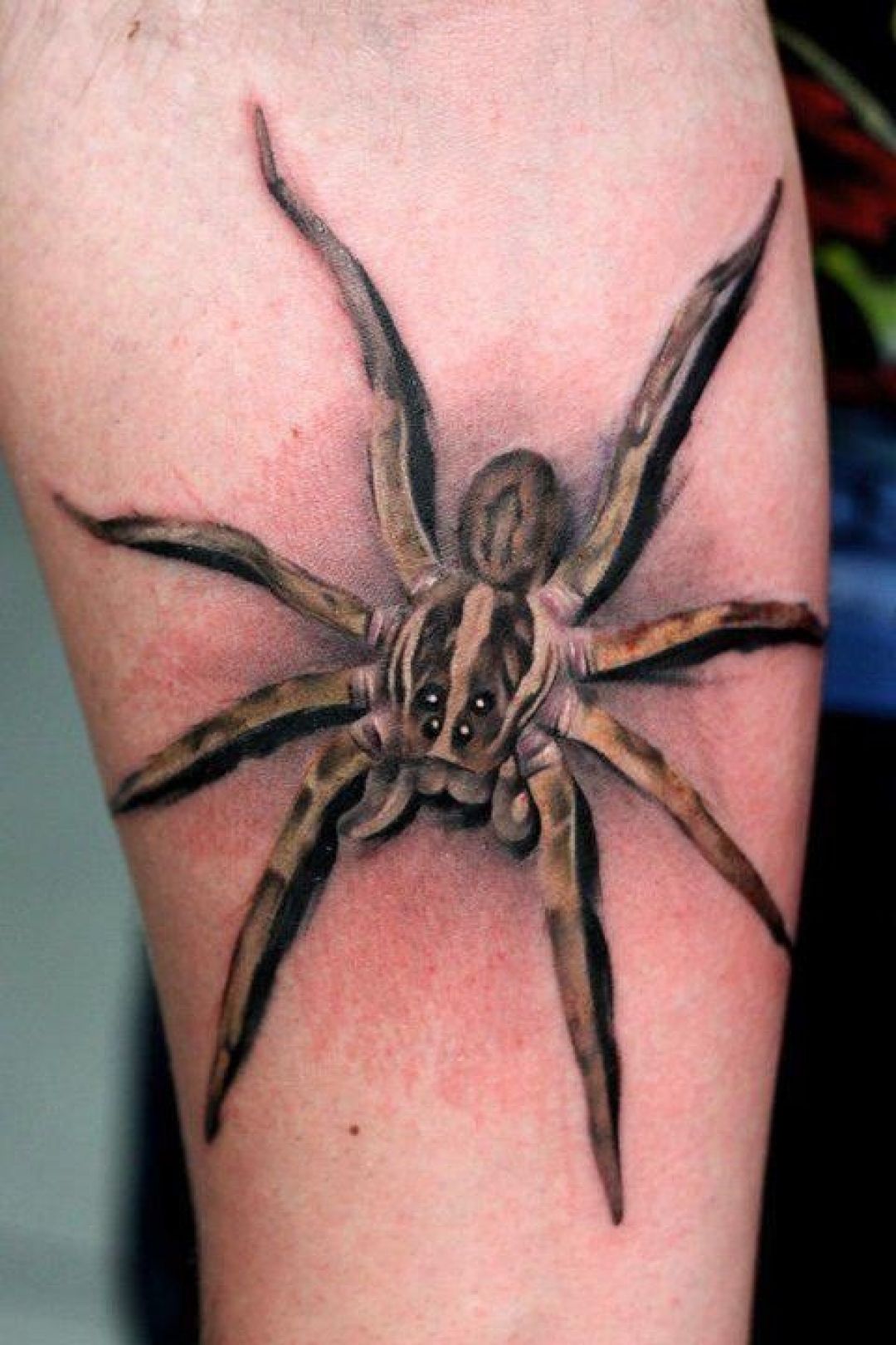✓[100+] 3d Spider Leg Tattoo Design (png / jpg) (2023)