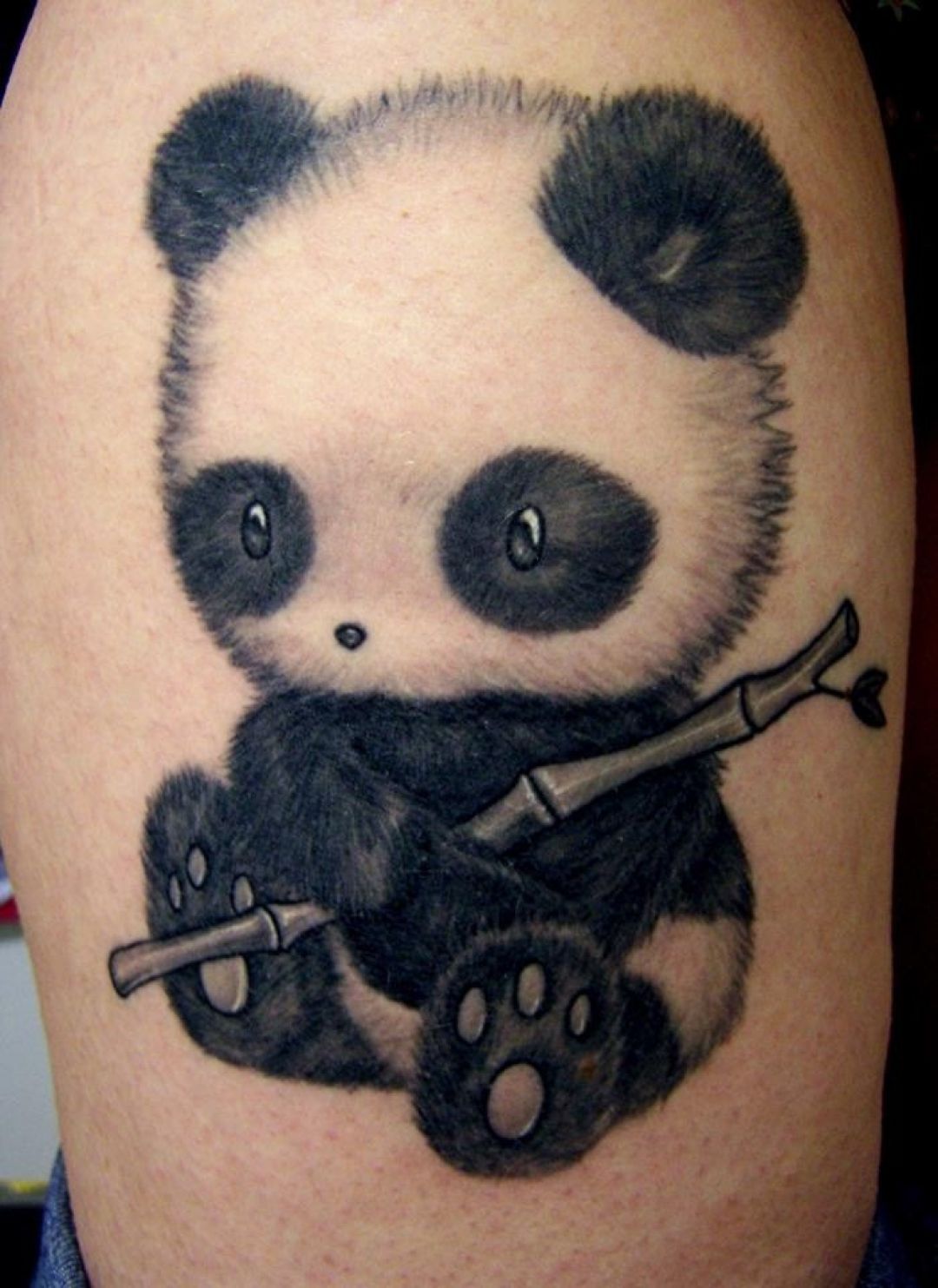 ✓[100+] Bamboo Panda Tattoo Design (png / jpg) (2023)