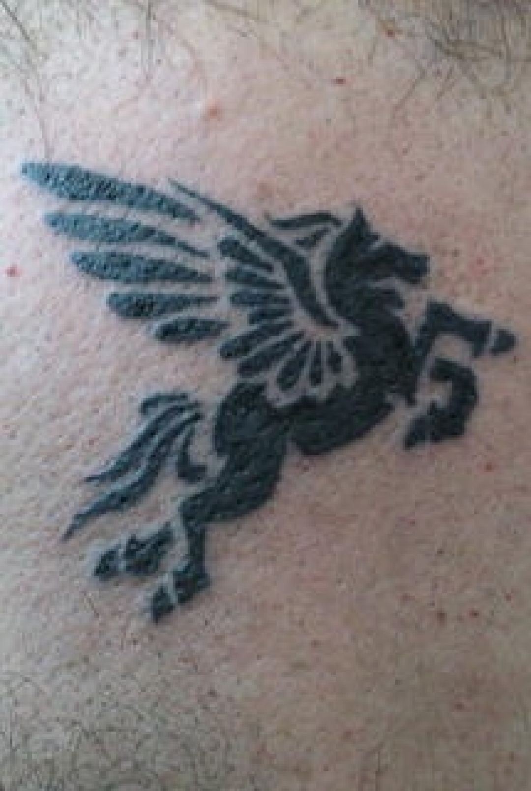✓[100+] Black Pegasus Tattoo Design (png / jpg) (2023)