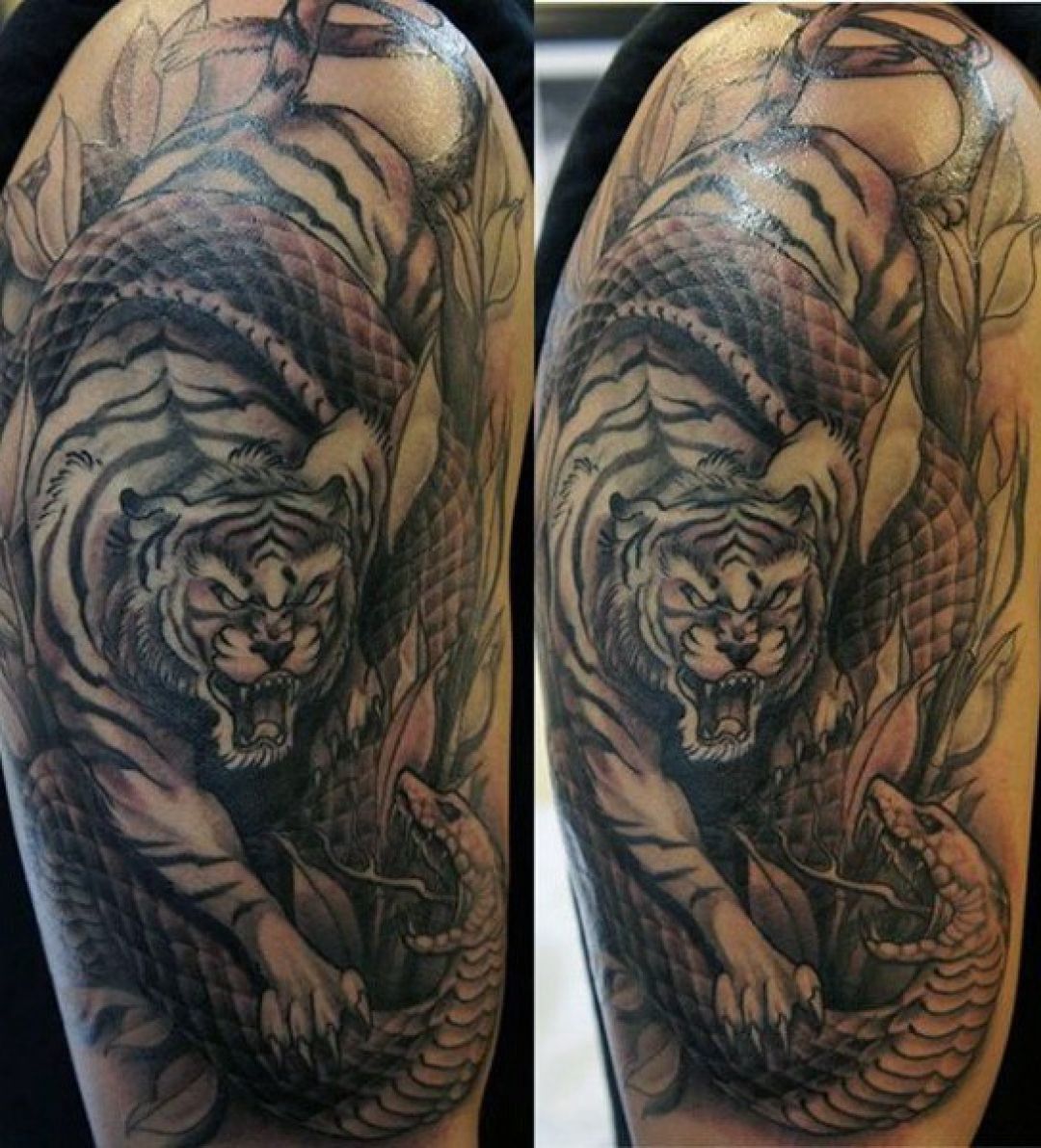 ✓[100+] Black Tiger Snake Shoulder Tattoo Design (png / jpg) (2023)