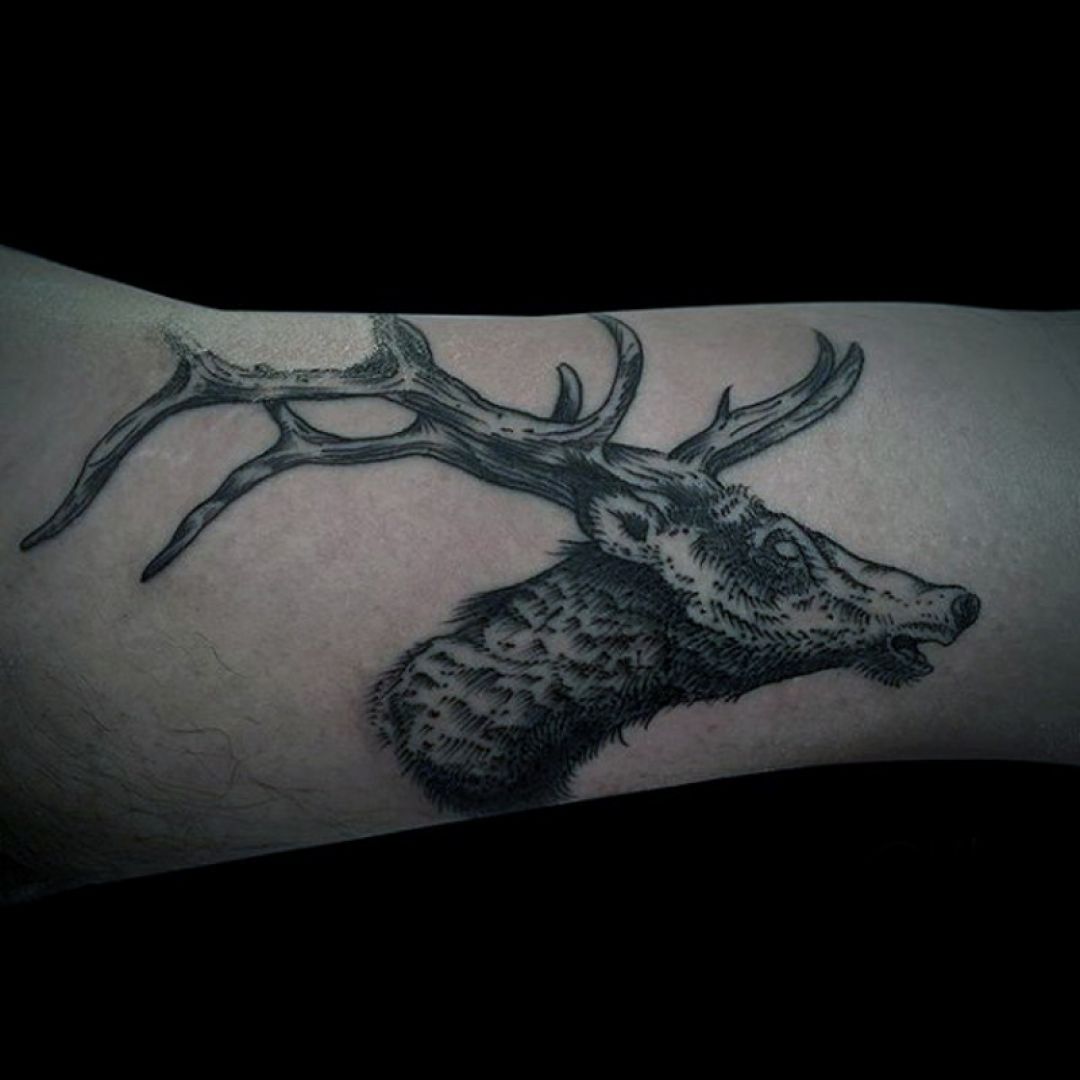 ✓[100+] Black & White Deer Head, Forearm Tattoo Design (png / jpg) (2023)