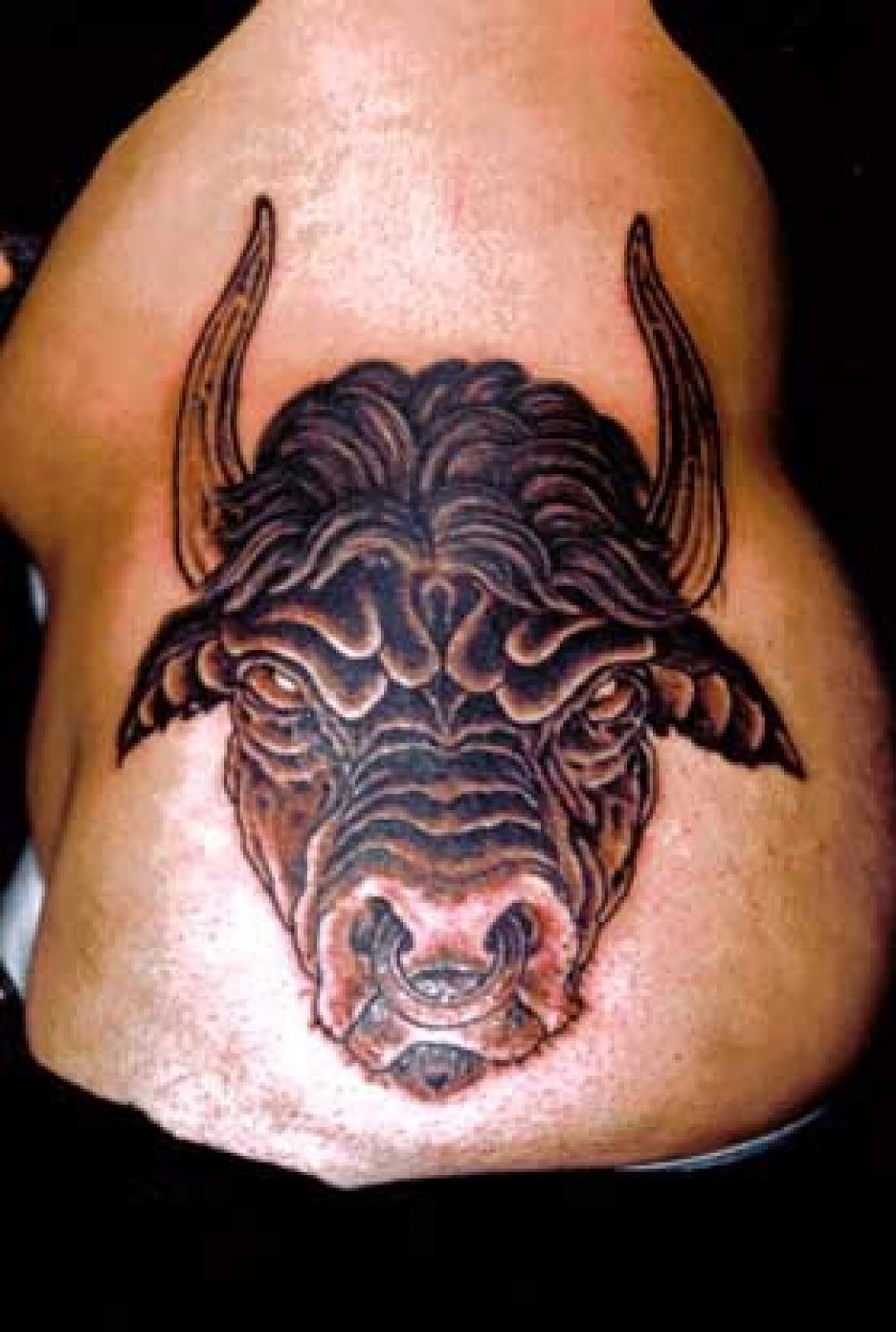 ✓[100+] Bull Head Tattoo Design (png / jpg) (2023)