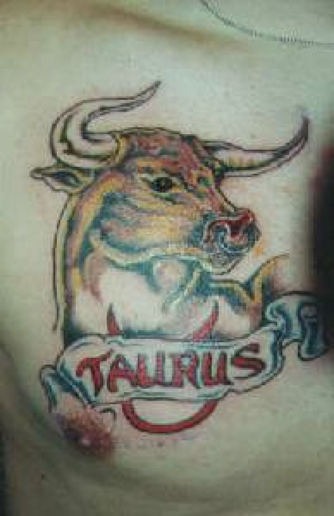 ✓[100+] Bull Taurus Zodiac Chest Tattoo Design (png / jpg) (2023)