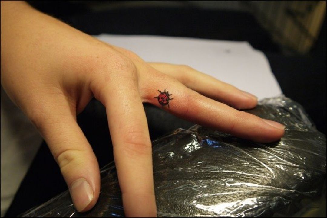 ✓[100+] Ladybug Finger Tattoo Design (png / jpg) (2023)