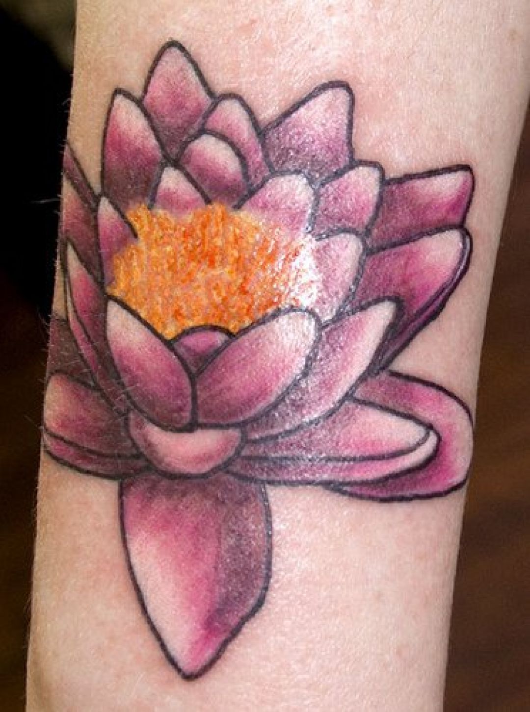 ✓[100+] Lotus Flower Hand Tattoo Design (png / jpg) (2023)