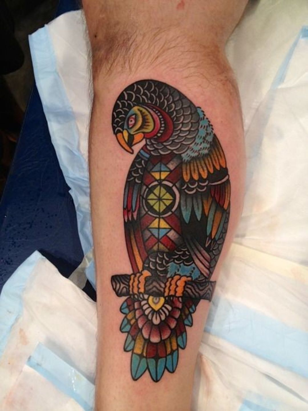 ✓[100+] Parrot Arm Tattoo Design (png / jpg) (2023)