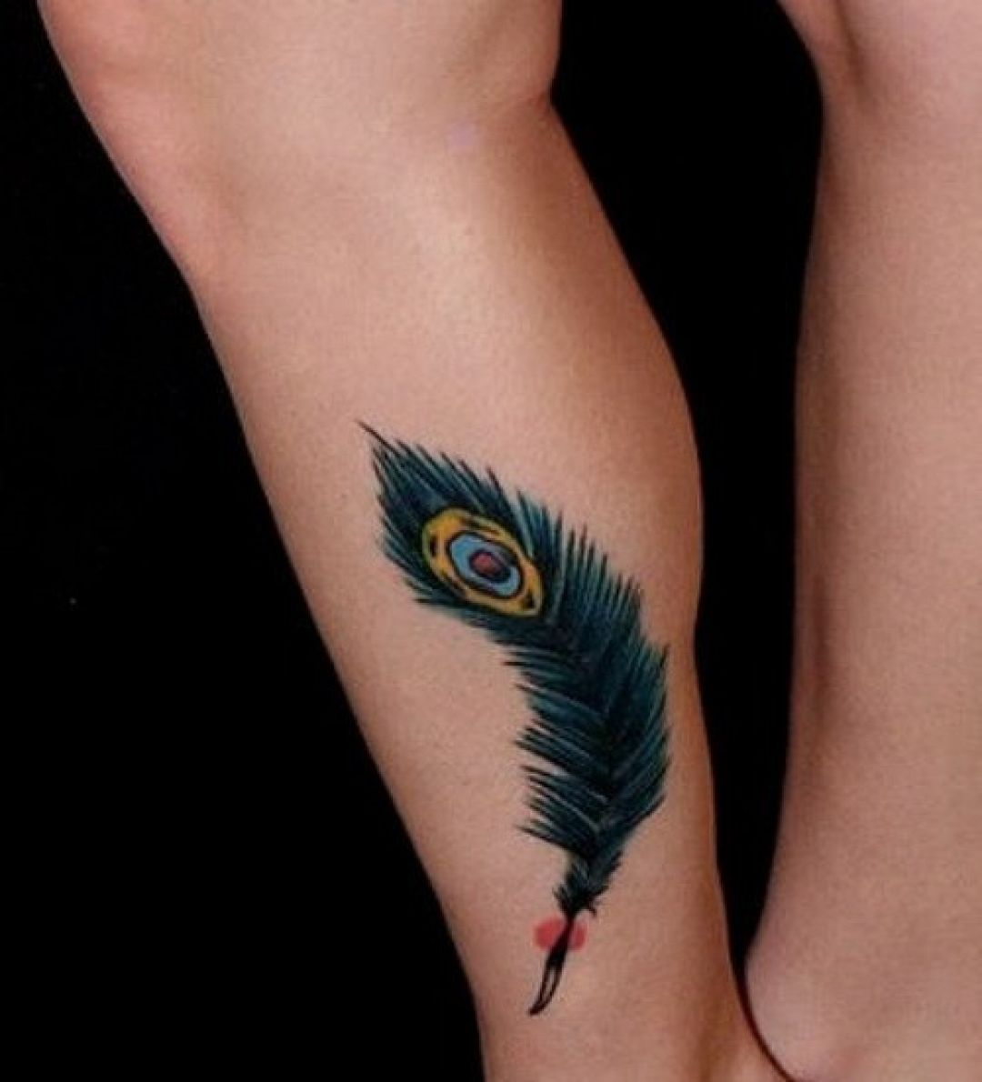 ✓[100+] Peacock Feather Tattoo Design (png / jpg) (2023)