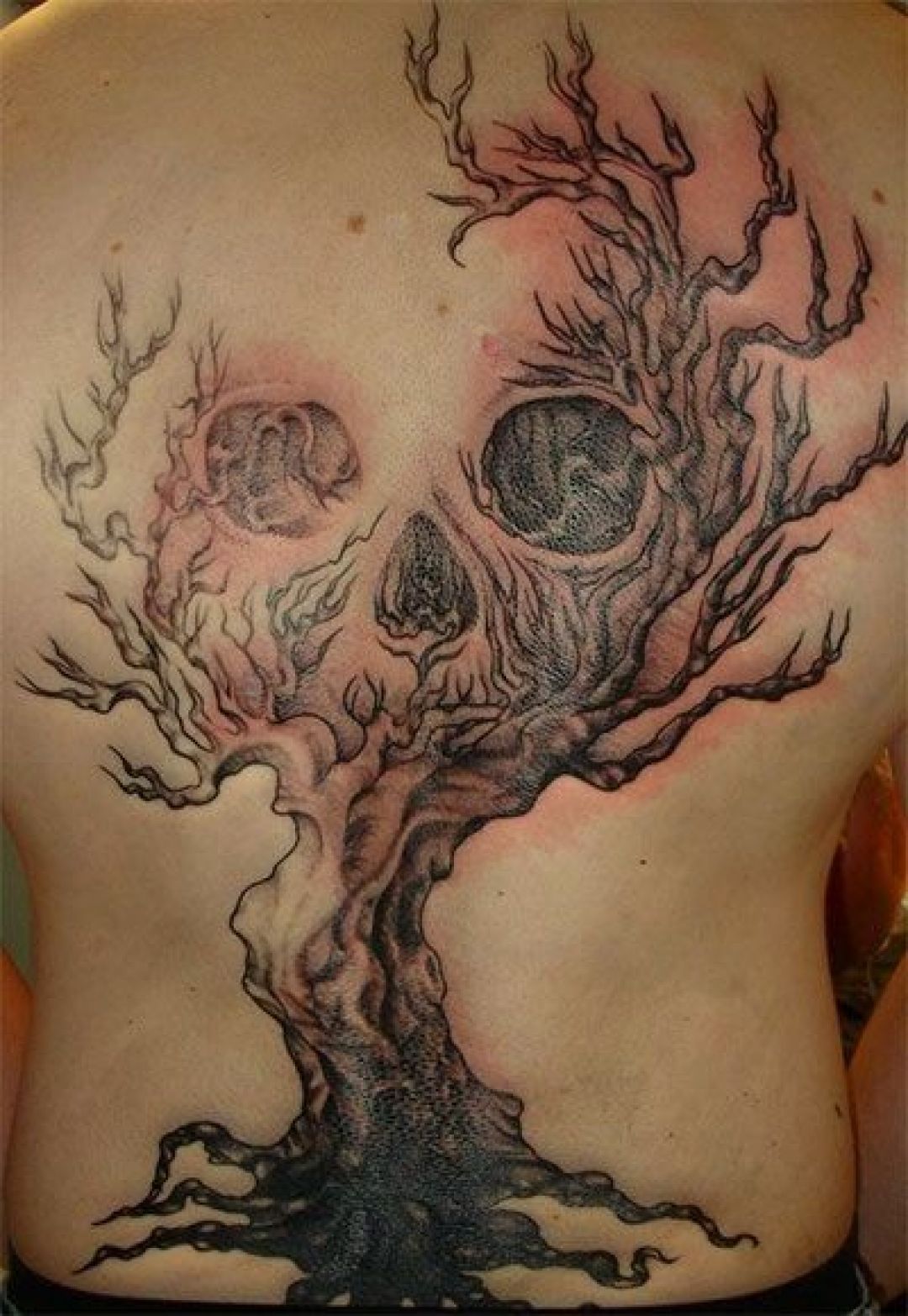 ✓[100+] Skull Tree Back Tattoo Design (png / jpg) (2023)