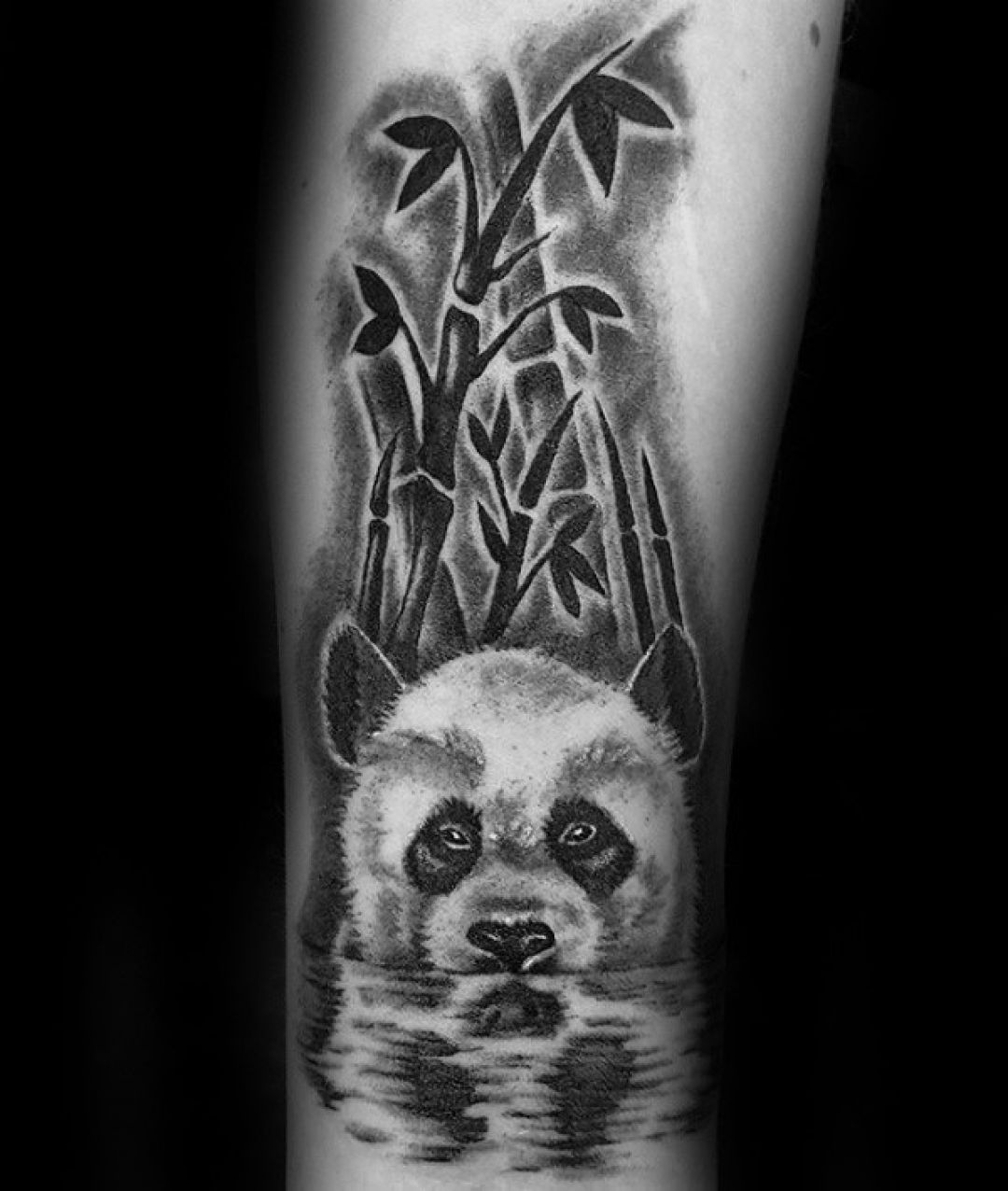 ✓[100+] Cute Bamboo Panda Bear Arm Tattoo Design (png / jpg) (2023)