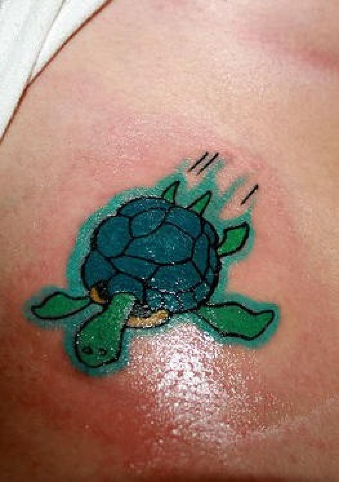 ✓[100+] Funny Small Green Turtle Tattoo Design (png / jpg) (2023)