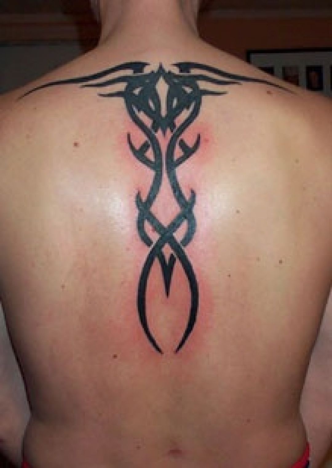 ✓[100+] Ink Tribal Back Tattoo Design (png / jpg) (2023)