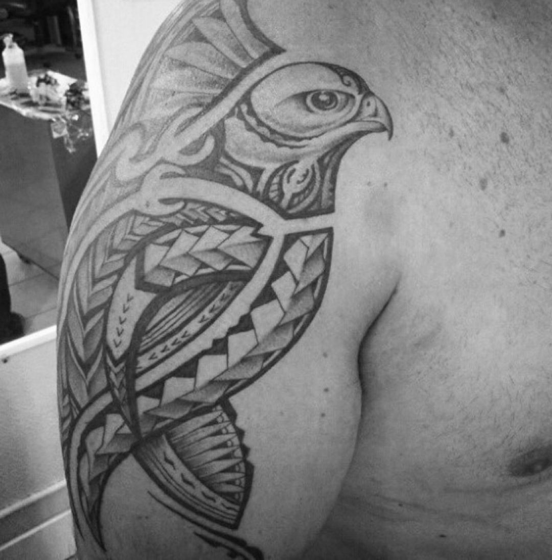 ✓[100+] Polynesian Tribal Eagle Bird Shoulder Tattoo Design (png / jpg)  (2023)