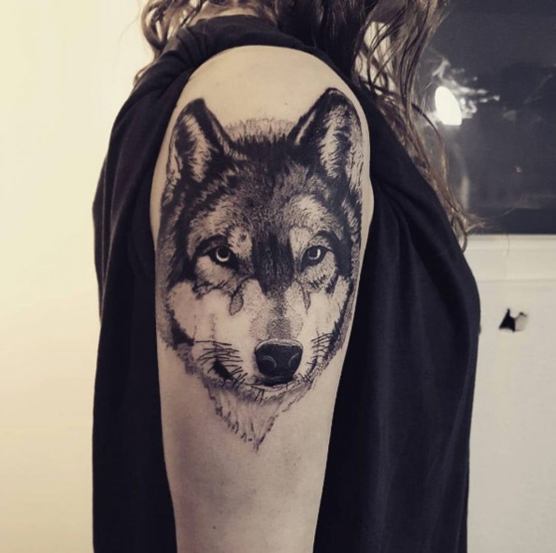 ✓[100+] Portrait Wolf Arm Tattoo Design (png / jpg) (2023)