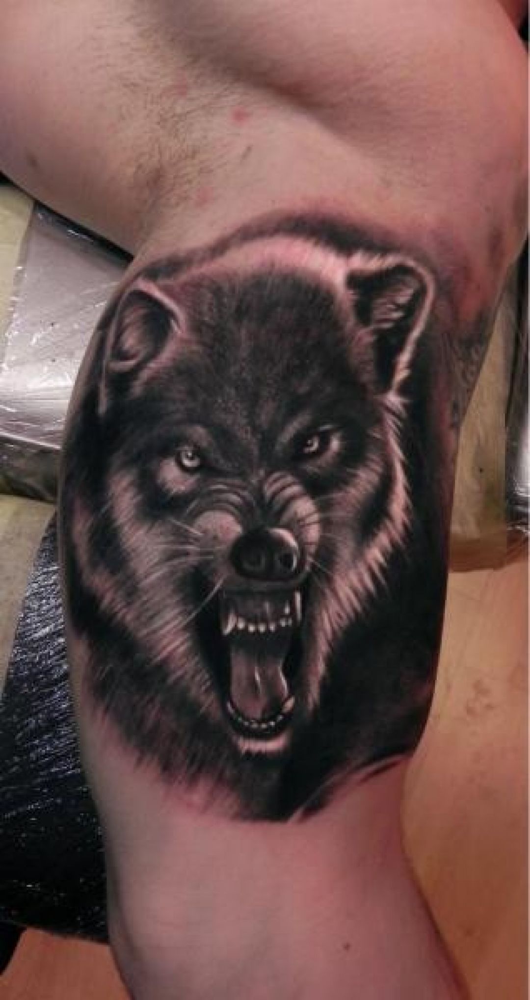 ✓[100+] Portrait Wolf Face, Arm Tattoo Design (png / jpg) (2023)