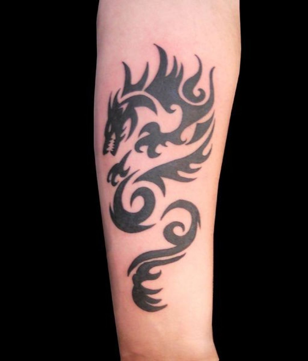 ✓[100+] Tribal Dragon Forearm Tattoo Design (png / jpg) (2023)