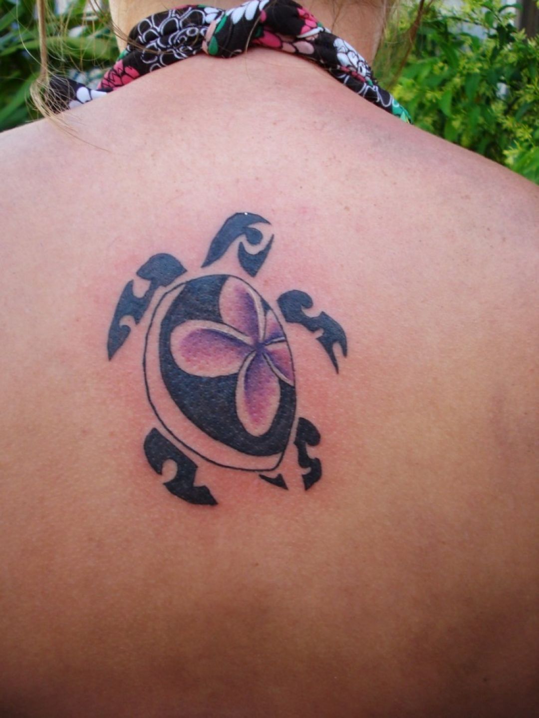 ✓[100+] Tribal Turtle Flower Tattoo Design (png / jpg) (2023)