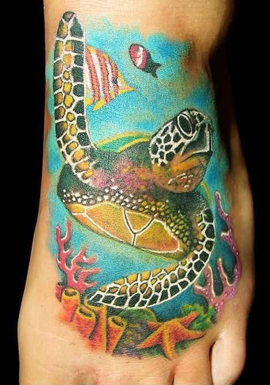 ✓[20+] Vivid Turtle Foot Tattoo Design (png / jpg) (2023)