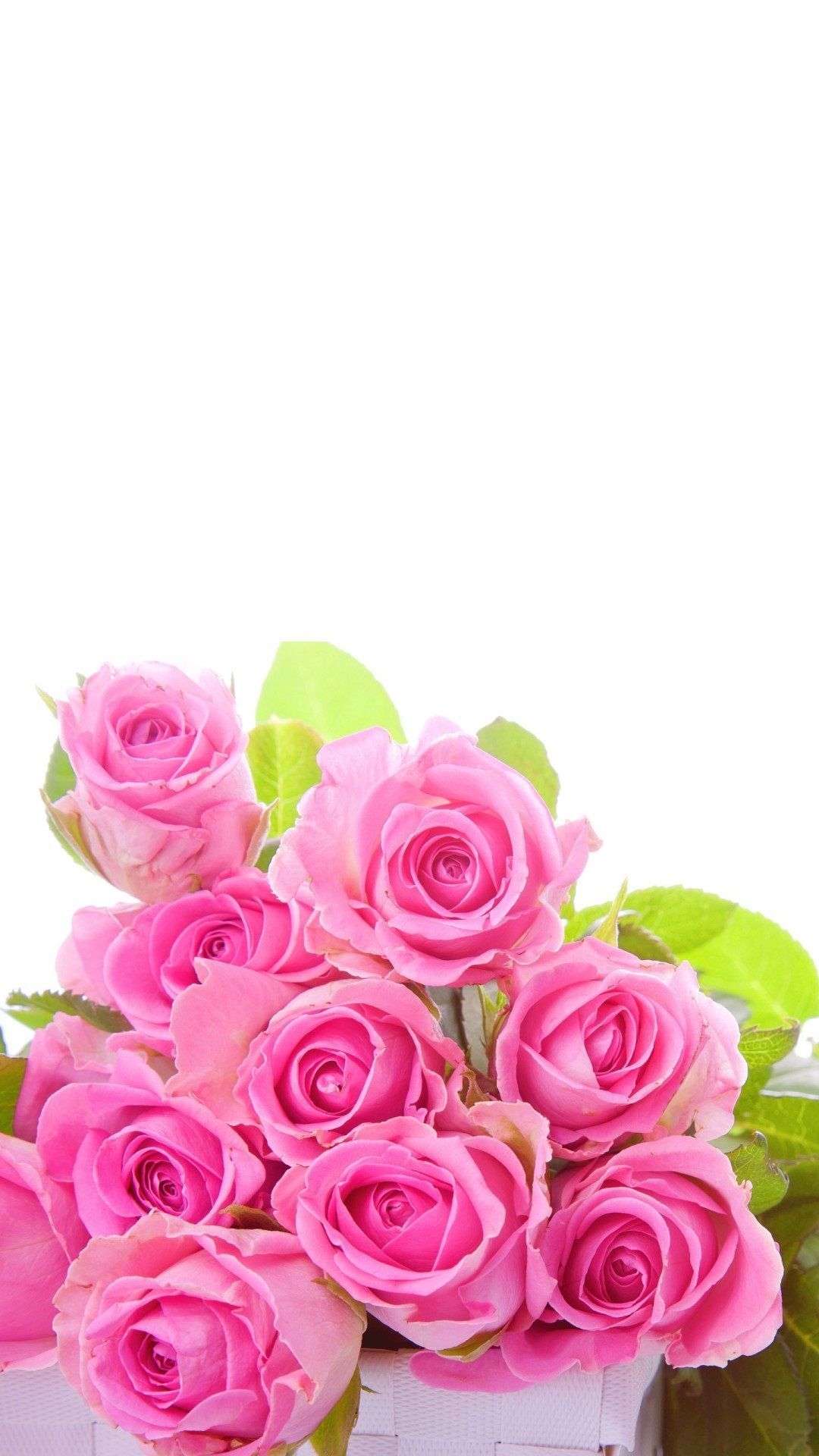 ✓[450+] Pink roses Flower Wallpaper For iPhone - 2018 iPhone Wallpaper -  Android / iPhone HD Wallpaper Background Download (png / jpg) (2023)
