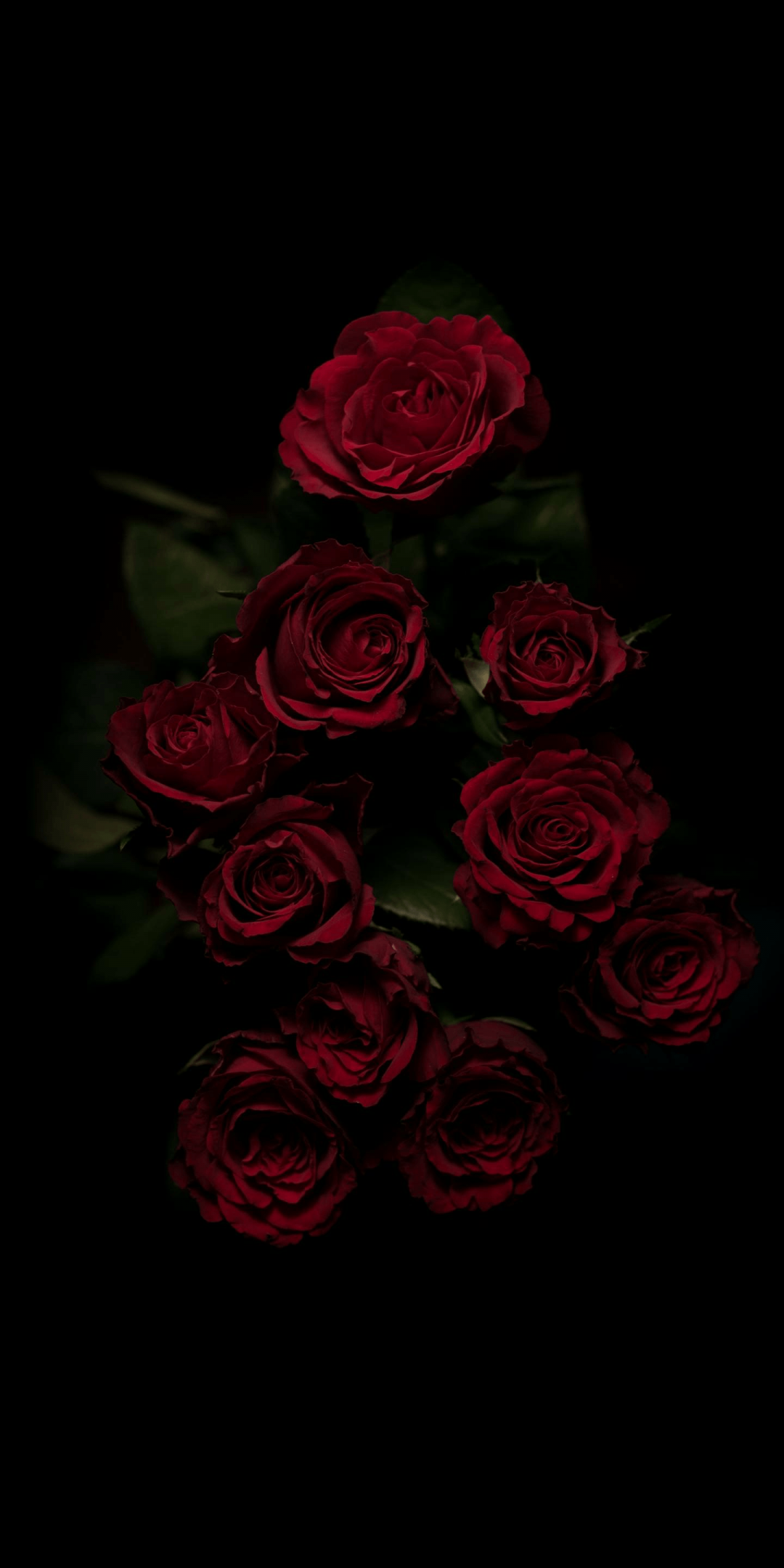 ✓[450+] Flower Aesthetic Dark Wallpaper - Android / iPhone HD Wallpaper  Background Download (png / jpg) (2023)