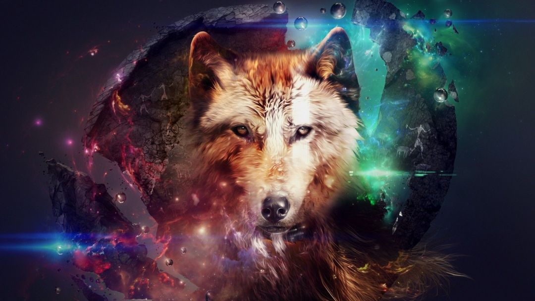 ✓[80+] Geometric Wolf - Android, iPhone, Desktop HD Backgrounds /  Wallpapers (1080p, 4k) (png / jpg) (2023)