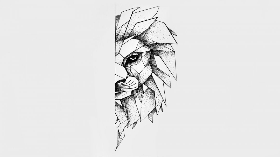✓[20+] Lion Drawing Wallpaper. Explore - Android / iPhone HD Wallpaper  Background Download (png / jpg) (2023)