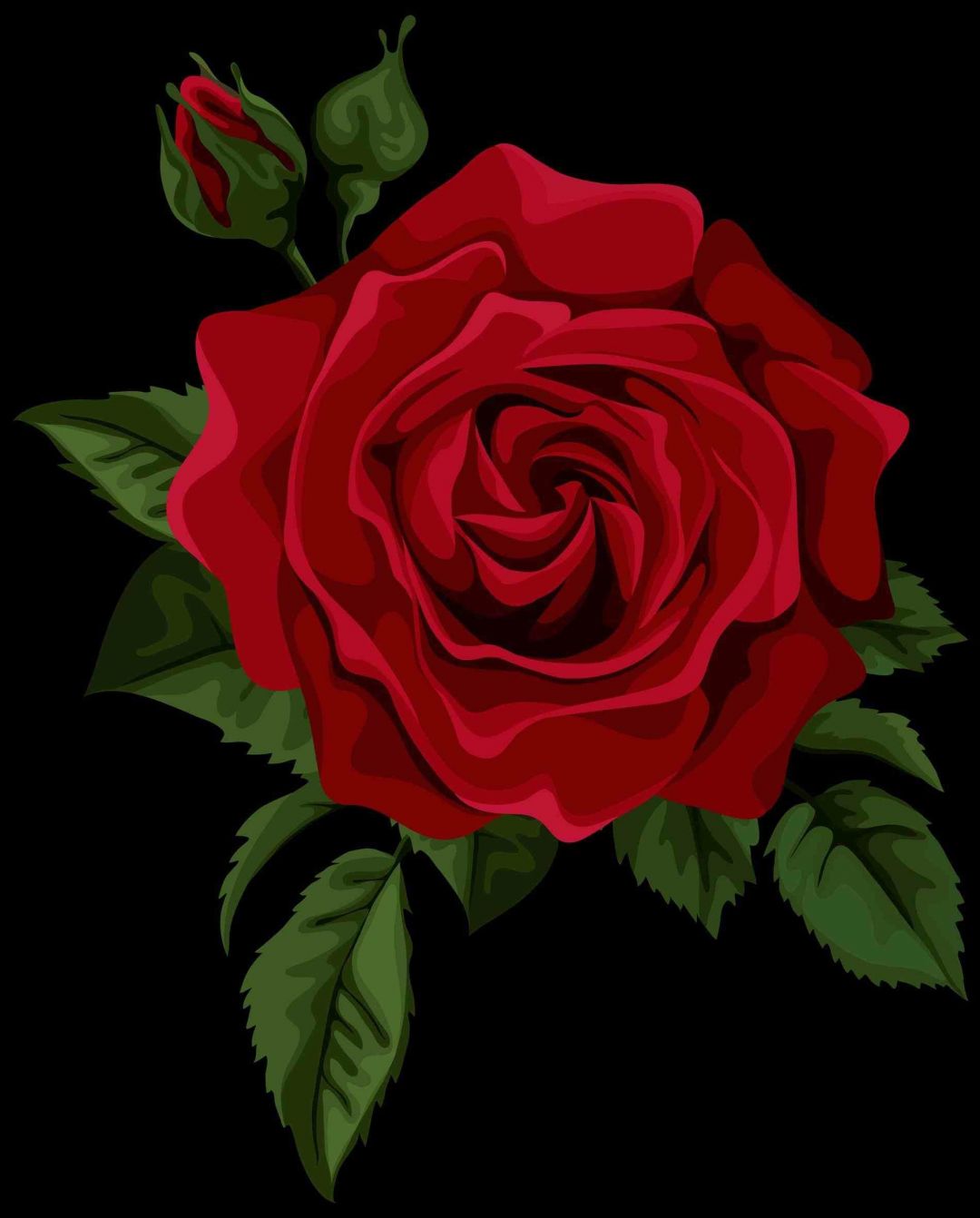 ✓[255+] Single Red Rose Wallpaper - Android / iPhone HD Wallpaper  Background Download (png / jpg) (2023)