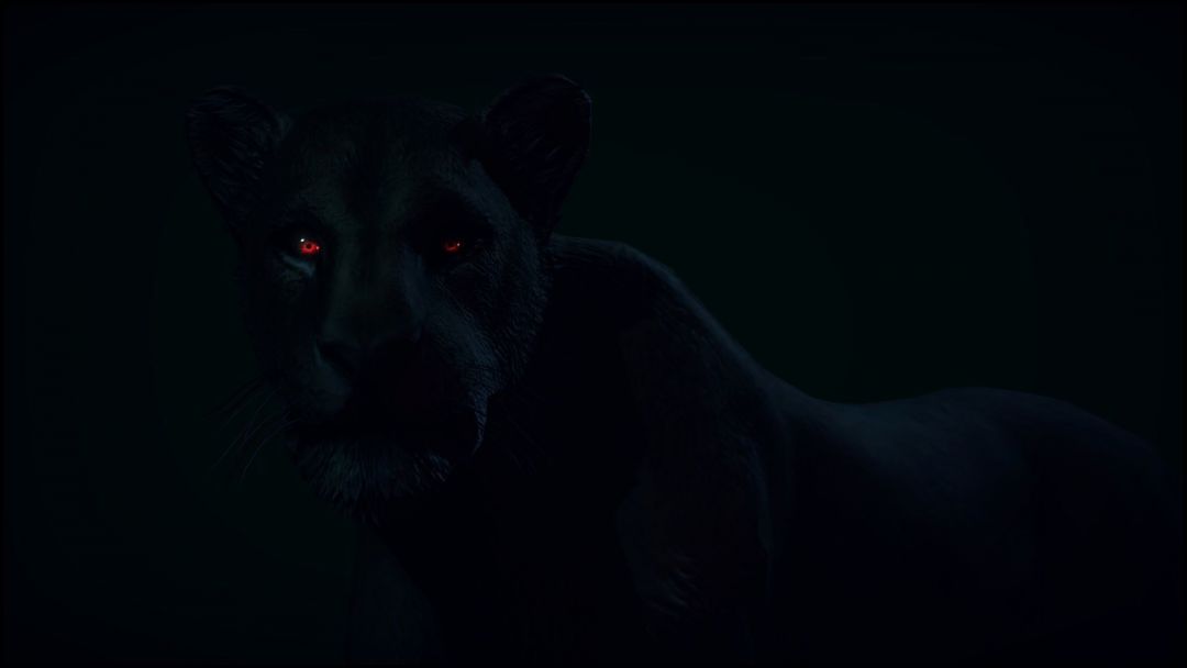 ✓[800+] Black Panther Aesthetic Animal Wallpaper - Android / iPhone HD  Wallpaper Background Download (png / jpg) (2023)