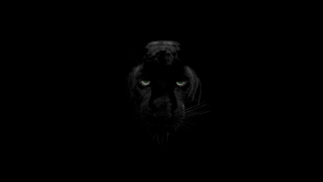 ✓[800+] Green Eyes Black Panther - Android / iPhone HD Wallpaper Background  Download (png / jpg) (2023)