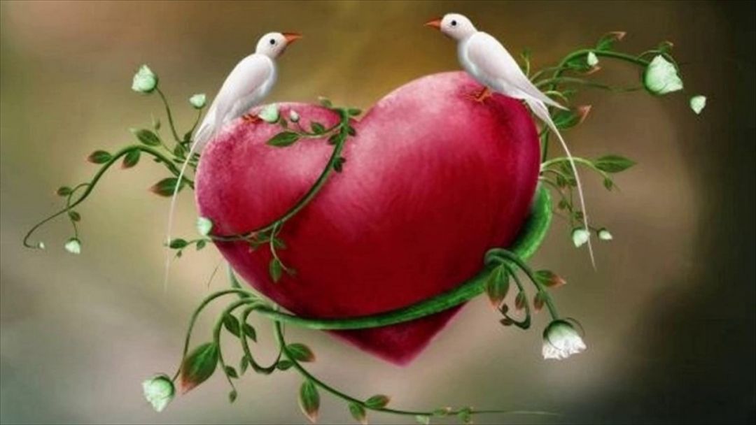 ✓[355+] Love Birds Wallpaper For Mobile - Android / iPhone HD Wallpaper  Background Download (png / jpg) (2023)