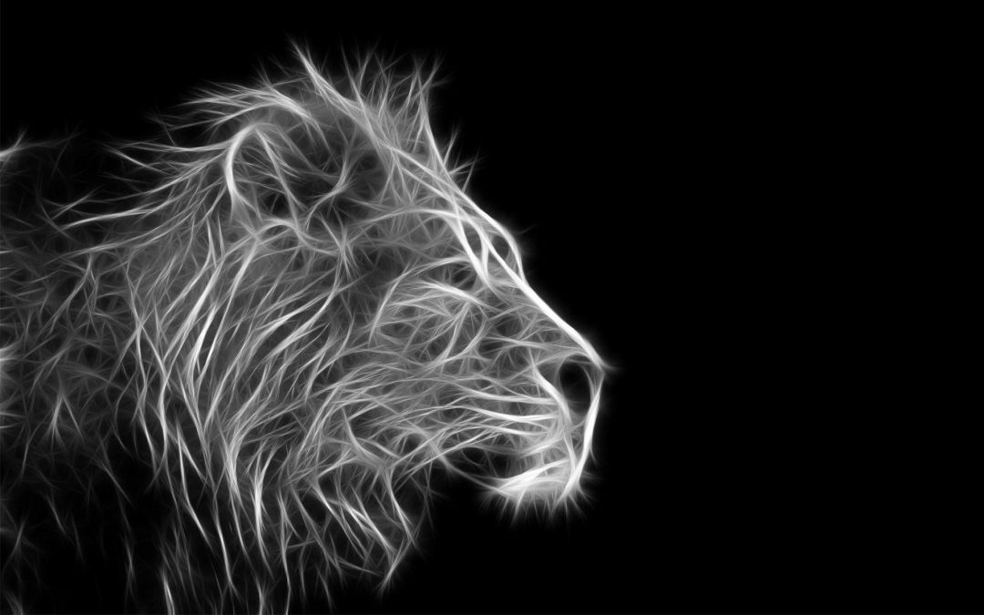 ✓[110+] Lion Wallpaper Desktop - Android / iPhone HD Wallpaper Background  Download (png / jpg) (2023)