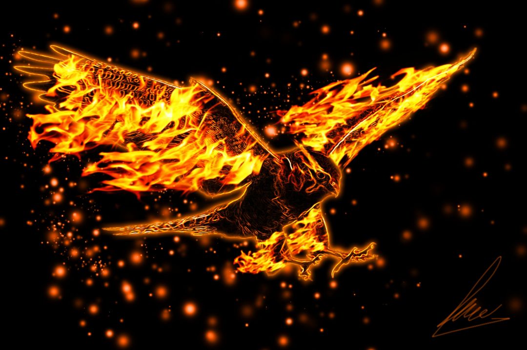 ✓[70+] Fire Eagle 4k Ultra HD Wallpaper and Background Image. 4288x2848 -  Android / iPhone HD Wallpaper Background Download (png / jpg) (2023)