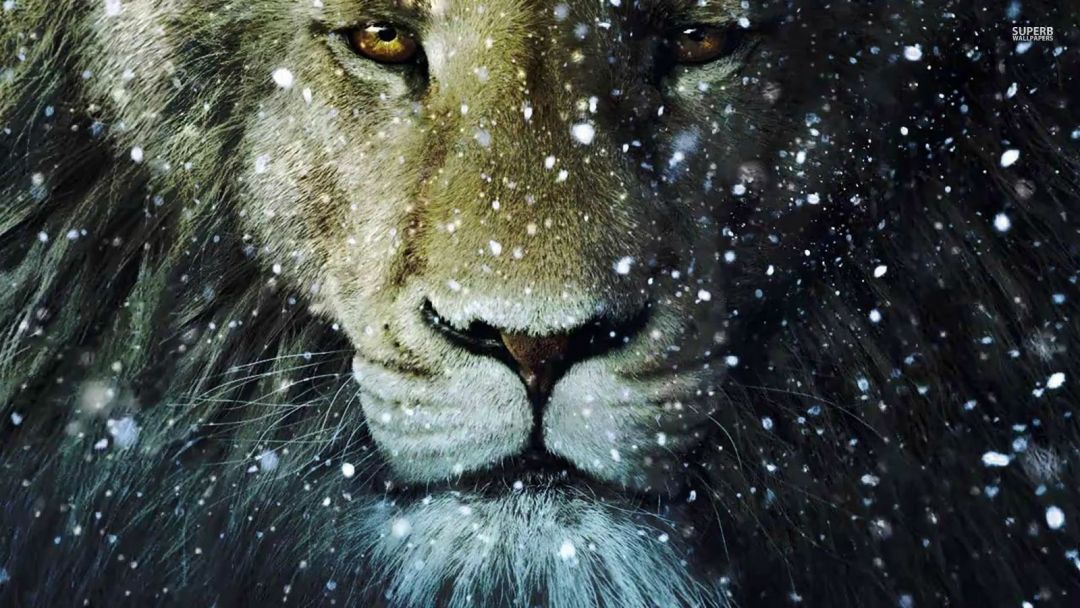 ✓[105+] Lion Background Quote HD Inspiring Quotes and words In Life -  Android / iPhone HD Wallpaper Background Download (png / jpg) (2023)