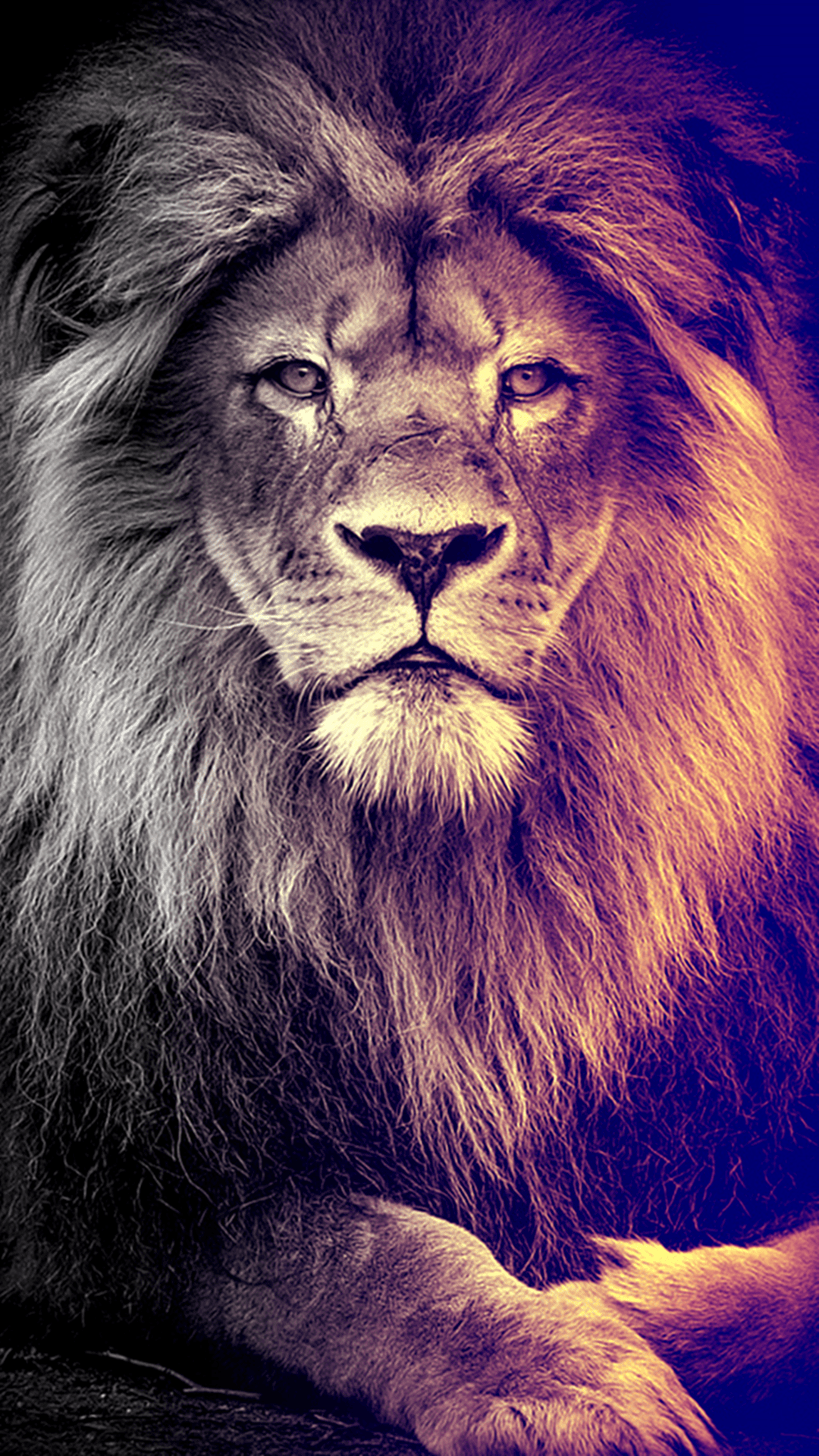 ✓[240+] Amazing Lion HD Wallpaper For IPhone X, 8 8 Plus, 7 7 Plus, 6 6S -  Android / iPhone HD Wallpaper Background Download (png / jpg) (2023)