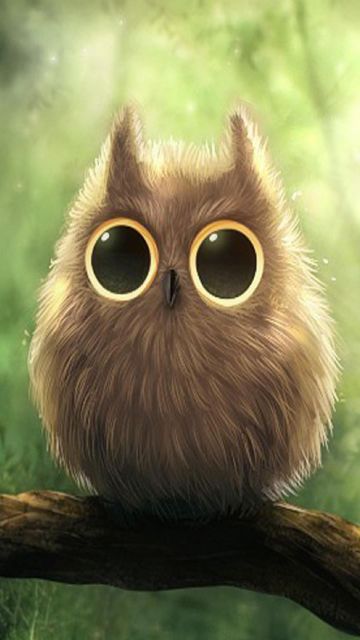 ✓[155+] Cute Owl Wallpaper For iPhone Desktop Background - Android / iPhone  HD Wallpaper Background Download (png / jpg) (2023)