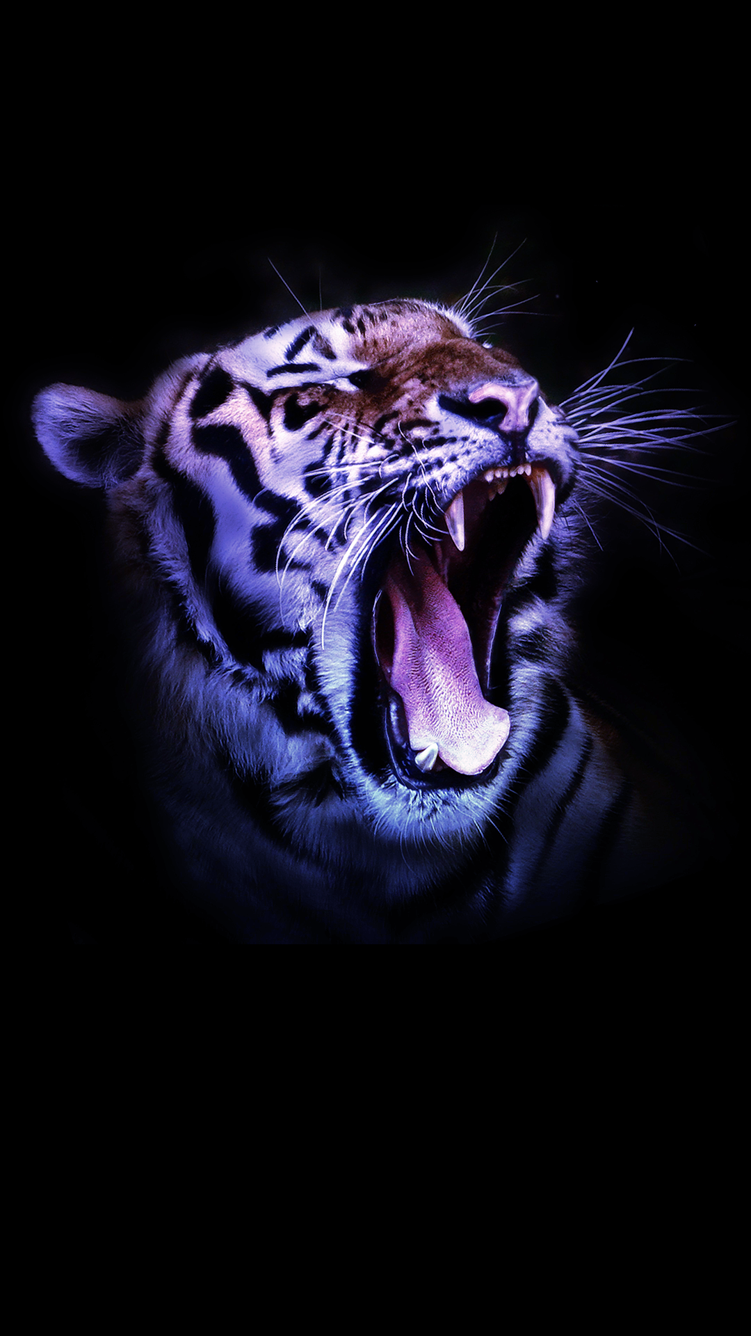 ✓[45+] Free HD Wildcat Tiger iPhone Wallpaper For Download .0571 - Android  / iPhone HD Wallpaper Background Download (png / jpg) (2023)