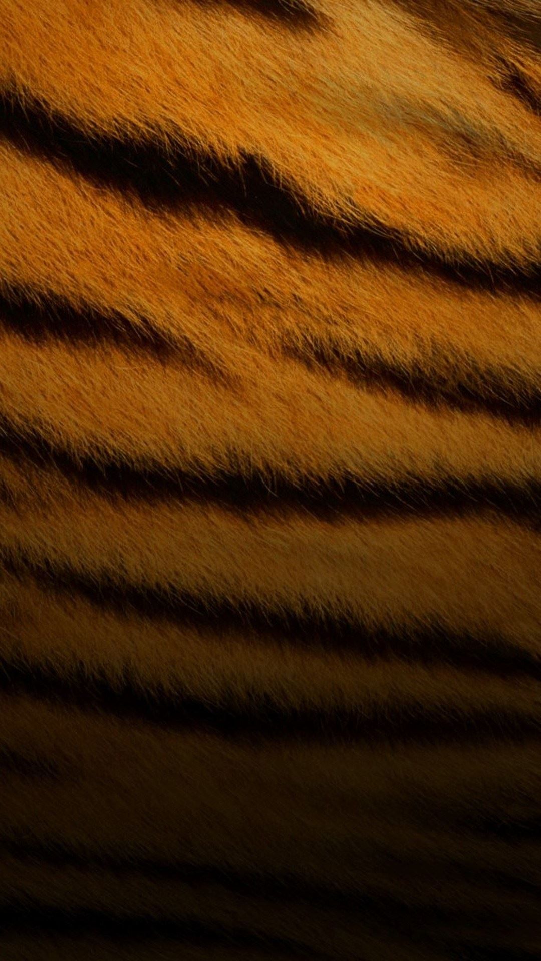 ✓[45+] Tiger Skin Pattern iPhone 6 Plus HD Wallpaper HD - Free Download -  Android / iPhone HD Wallpaper Background Download (png / jpg) (2023)