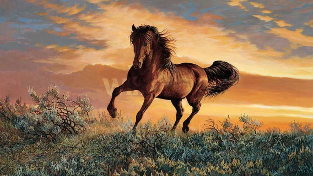 ✓[95+] Horse Wallpaper background picture - Android / iPhone HD Wallpaper  Background Download (png / jpg) (2023)