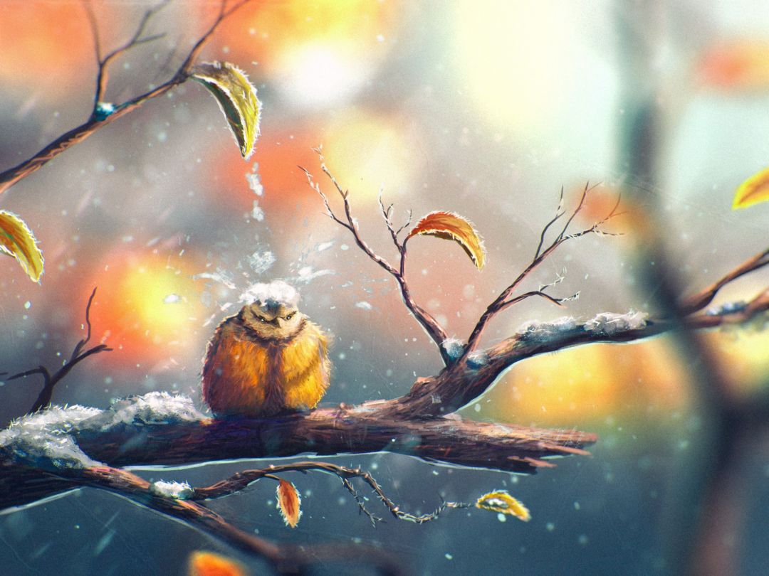 ✓[85+] drawing, Nature, Animals, Winter, Snow, Sylar, Birds, Leaves -  Android / iPhone HD Wallpaper Background Download (png / jpg) (2023)