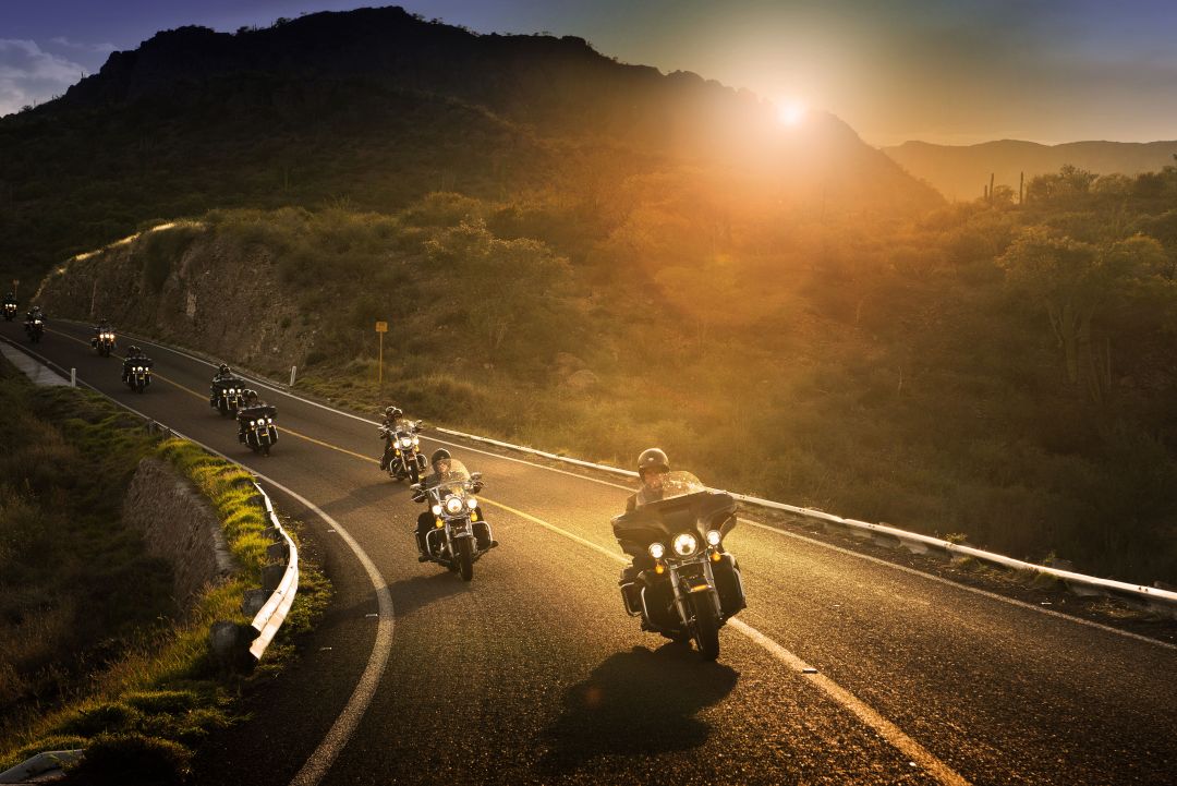 ✓[385+] Harley Davidson Riders - Android / iPhone HD Wallpaper Background  Download (png / jpg) (2023)