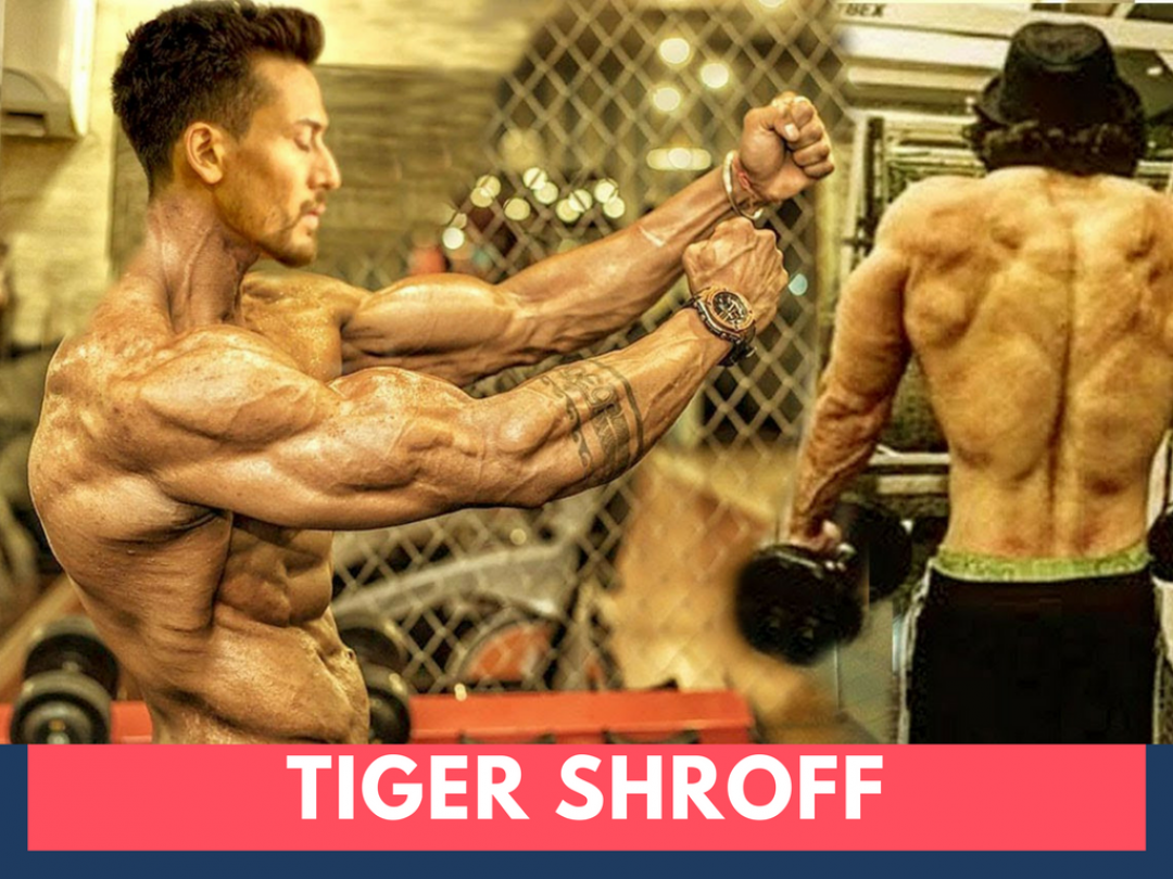 ✓[80+] Top 4 Shocking Photo Of Tiger Shroff Body In Baaghi - Tiger -  Android / iPhone HD Wallpaper Background Download (png / jpg) (2023)