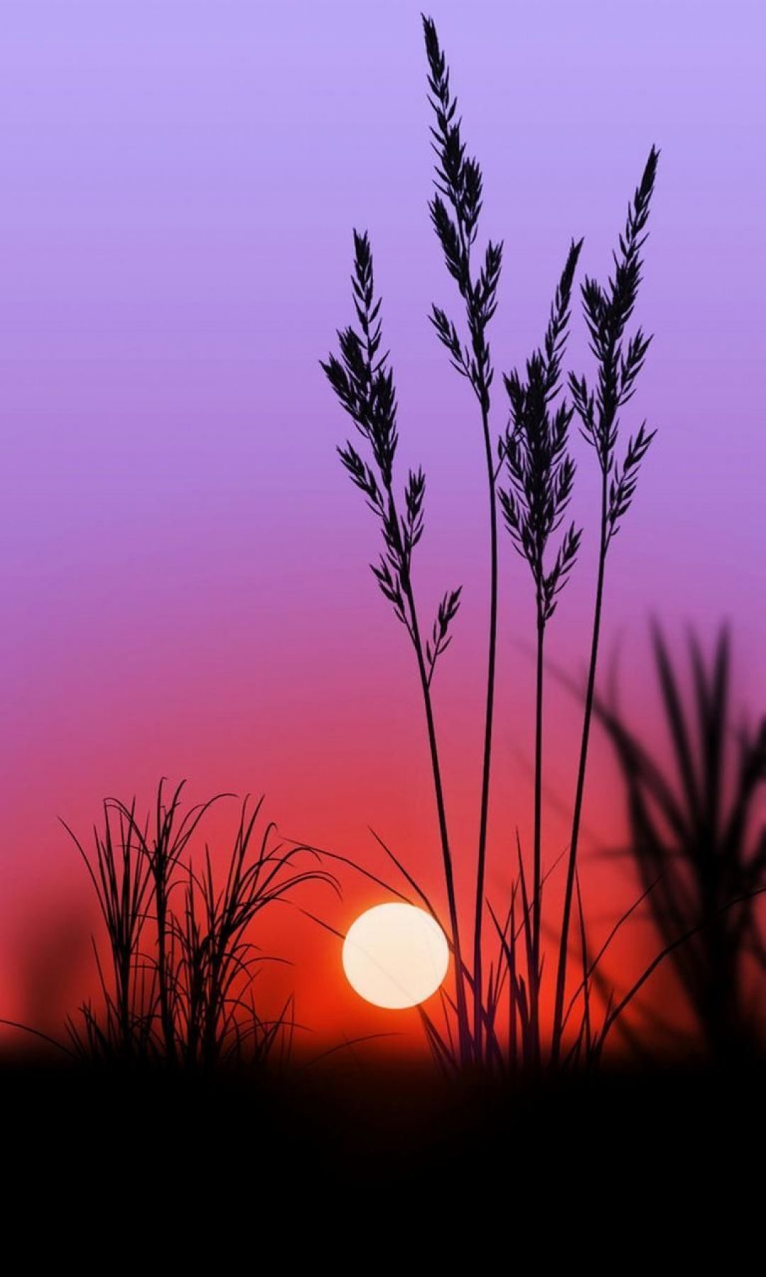 ✓[40+] Purple Sunset Nature Photography, HD Wallpaper Android - HD -  Android / iPhone HD Wallpaper Background Download (png / jpg) (2023)