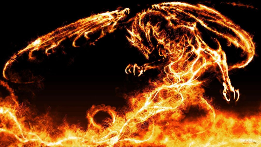✓[260+] Fire Dragon Wallpaper Full HD For Mobile High Resolution - Android  / iPhone HD Wallpaper Background Download (png / jpg) (2023)