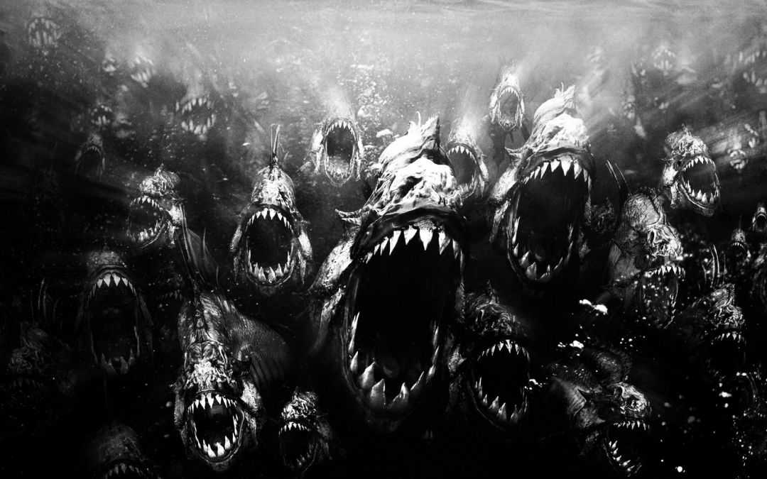 ✓[80+] Fish Tooth Scary Horror Piranha Water Dark Fish Full Hd Animal -  Android / iPhone HD Wallpaper Background Download (png / jpg) (2023)