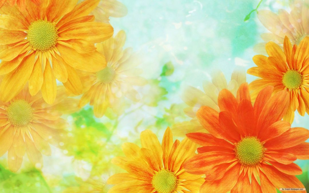 ✓[125+] hipster floral wallpaper background - Download HD hipster floral -  Android / iPhone HD Wallpaper Background Download (png / jpg) (2023)
